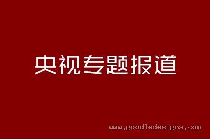 央视专题报道